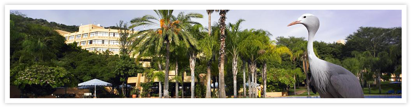 Sun City Swimming Pool