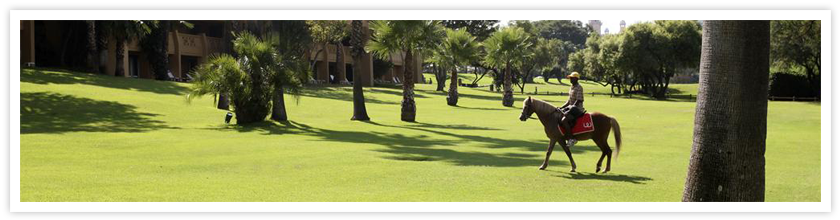 The Cabanas Exterior Lawns