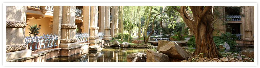 The Palace Gardens